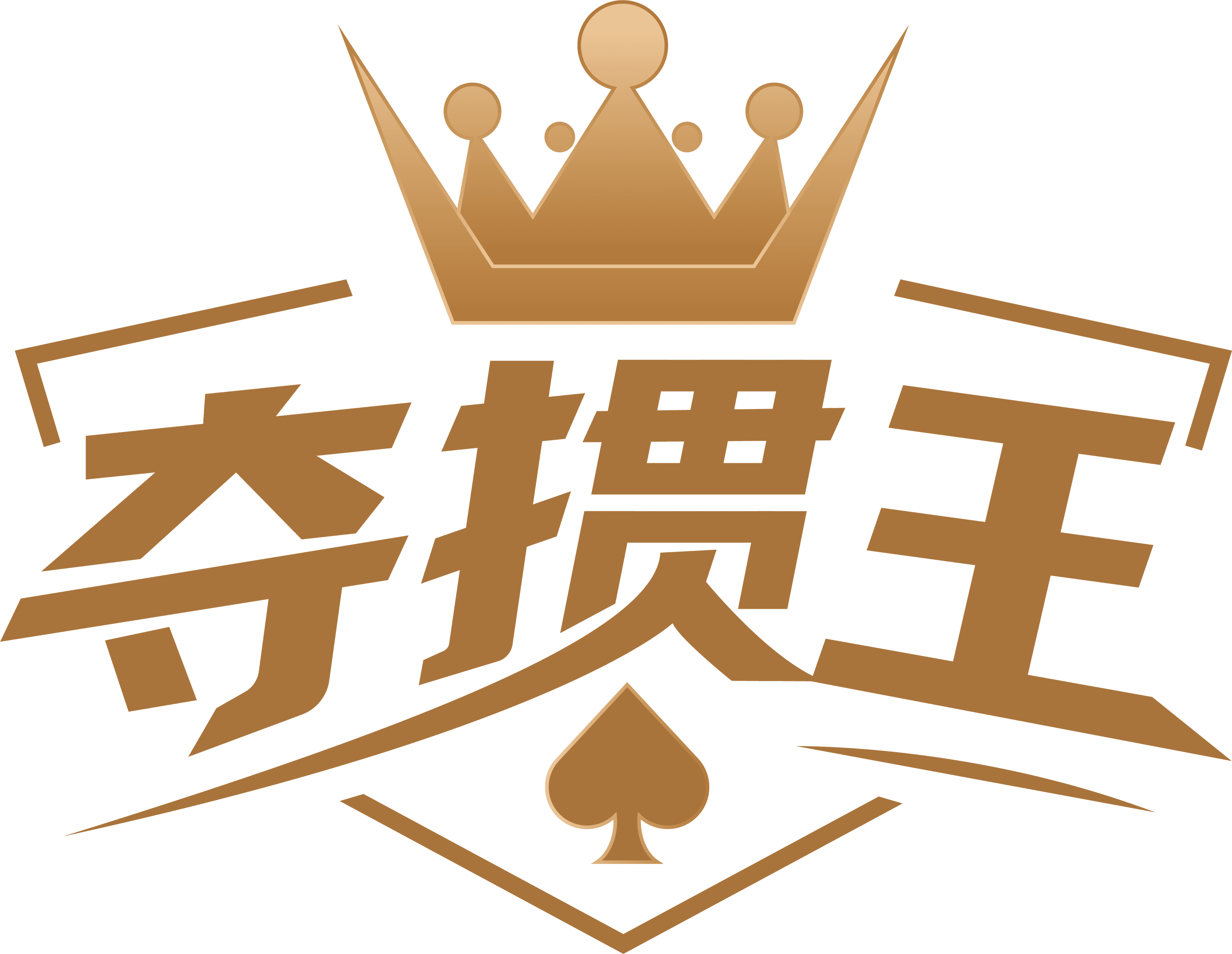 夺掼王